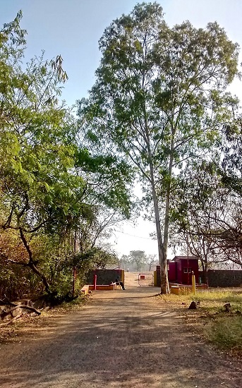 Back gate of Vaikunth Mehta Institute (from the morning walks)