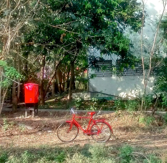 Red & Green (from the morning walks)