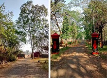 Back gate of Vaikunth Mehta Institute (from the morning walks)