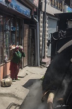 Life as seen from Darjeeling Himalayan Railway - 5