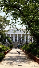 A bird takes flight at Horniman Circle Garden, Mumbai