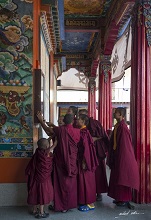 Young monks at Rumtek monastery reading the notice board