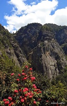 Taktsang (Tiger's Nest), Paro