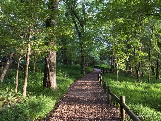 On a walk at Radnor Lake State Park, Nashville