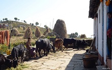 Home in Kumaon Hills