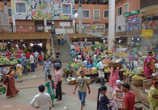 Canvassing at Panjim Market, Goa