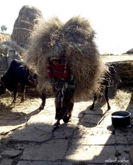 Kumaoni lady stocking up grass