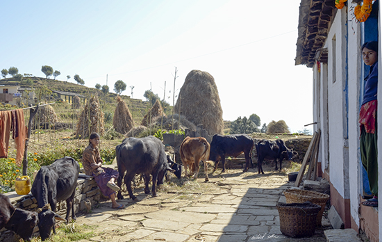 Home in Kumaon Hills