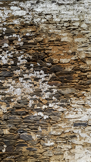 Texture on the monastery wall at Gangtey, Bhutan