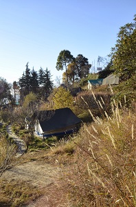 Tents at Camp Purple, Mukteshwar