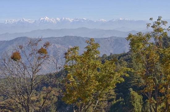 Camp Purple, Mukteshwar, Kumaon