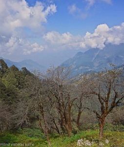 View from near Jalori Pass