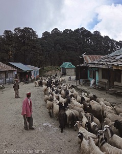 At Jalori Pass