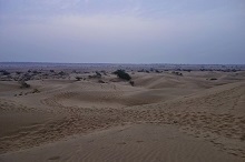 Camel Ride at Desert National Park, Jaisalmer