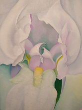 White Iris, painting by Georgia O'Keeffe at Virginia Museum of Fine Arts, Richmond, VA